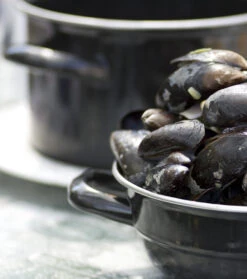 Cosy & Trendy Mosselpan - Zwart - ø 12 Cm / 900 Ml -Speciaalzaken Voor Keukengerei 111 PUNT 012