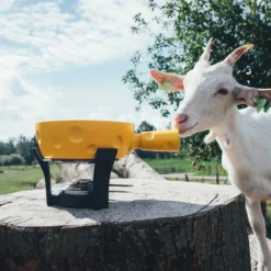 Boska Fondueset Cheesy - 6 Personen - Geel/zwart - 1.3 Liter -Speciaalzaken Voor Keukengerei 853512 BOSKAFondueSetSuperCheesy 2 2400x