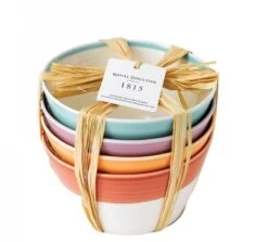 Royal Doulton Kommen 1815 Bright Colours ø 15 Cm - 4 Stuks -Speciaalzaken Voor Keukengerei 9022 2