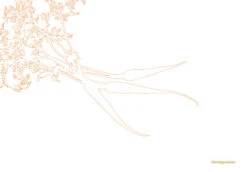 Kookboek - Plenty More -Speciaalzaken Voor Keukengerei 9789059565388 03