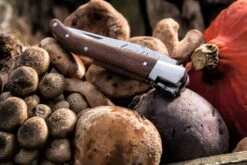 Laguiole Style De Vie Zakmes Rozenhout -Speciaalzaken Voor Keukengerei Laguiole zakmes rozenhout sf gr 9