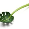 Ototo Opscheplepel Jungle Spoon -Speciaalzaken Voor Keukengerei Ototo Opscheplepel Jungle Spoon 1