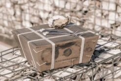 Anovi Oestervorkjes - 4 Stuks -Speciaalzaken Voor Keukengerei Oysterforks