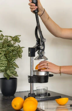 Sareva Citruspers - Gietijzer - Hevelmodel - Zwart -Speciaalzaken Voor Keukengerei citruspers 3 1