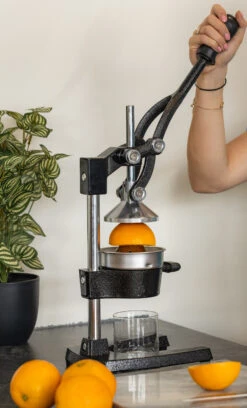 Sareva Citruspers - Gietijzer - Hevelmodel - Zwart -Speciaalzaken Voor Keukengerei citruspers 4 1