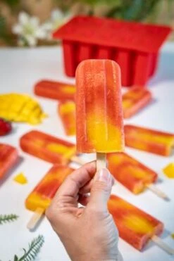 Sareva IJsjesmaker Voor 10 Ijsjes - Rood - Siliconen + 150 Houten IJsstokjes -Speciaalzaken Voor Keukengerei sareva ijsjesmaker 2