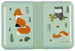 A Little Lovely Company Lunchbox - Bosvriendjes 10 A Little Lovely Company Lunchbox - Bosvriendjes -Speciaalzaken Voor Keukengerei sbfosa51 lr 1 lunch box forest friends 1